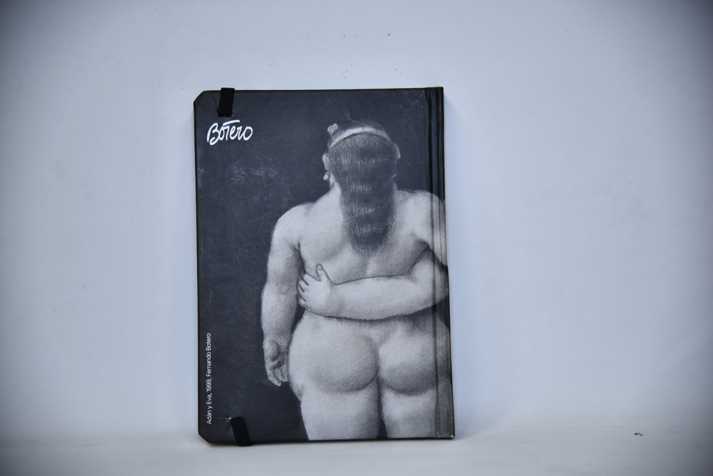 Libretas de arte molesky
